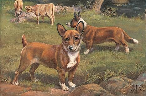 Amazon ウェルシュ コーギー壁紙壁壁画 自己粘着 複数のサイズ National Geographicイメージからmagic壁画 Small 4 0 H X 6 1 W 1 Panel Ngs Ehm Sm 壁装用具