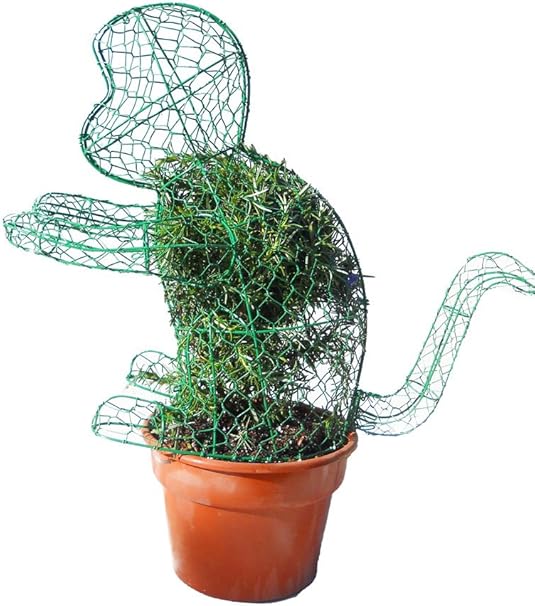 Amazon Co Jp モンキー 高さ18インチ ローズマリートピアリーフレーム ハンドメイド動物装飾 ホーム キッチン