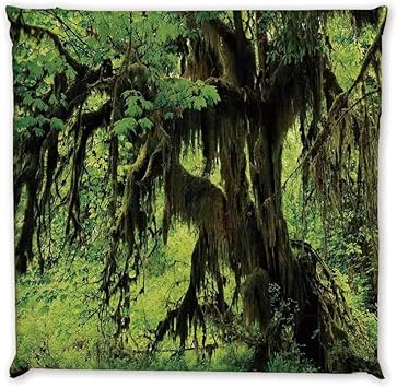 Amazon Com Rainforest Decorations Comfortable Square Chair Pad