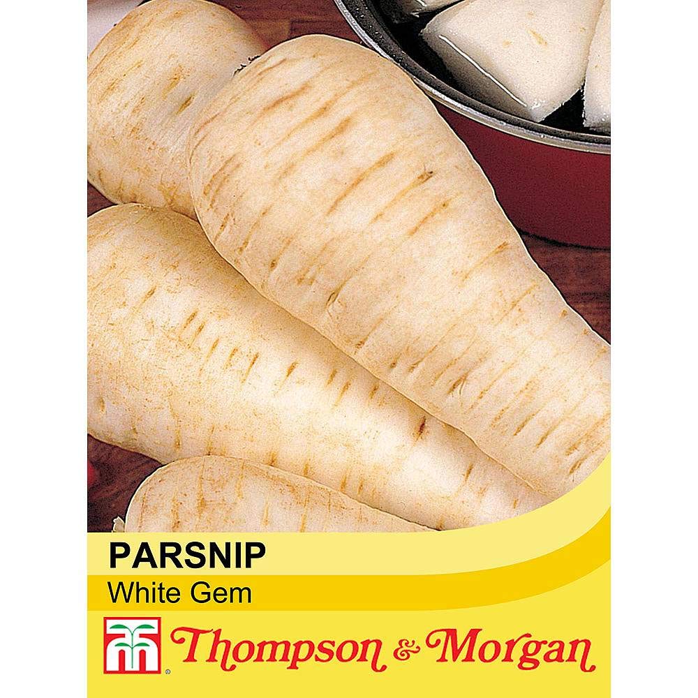 Thompson & Morgan - Vegetables - Parsnip White Gem - 300 Seeds