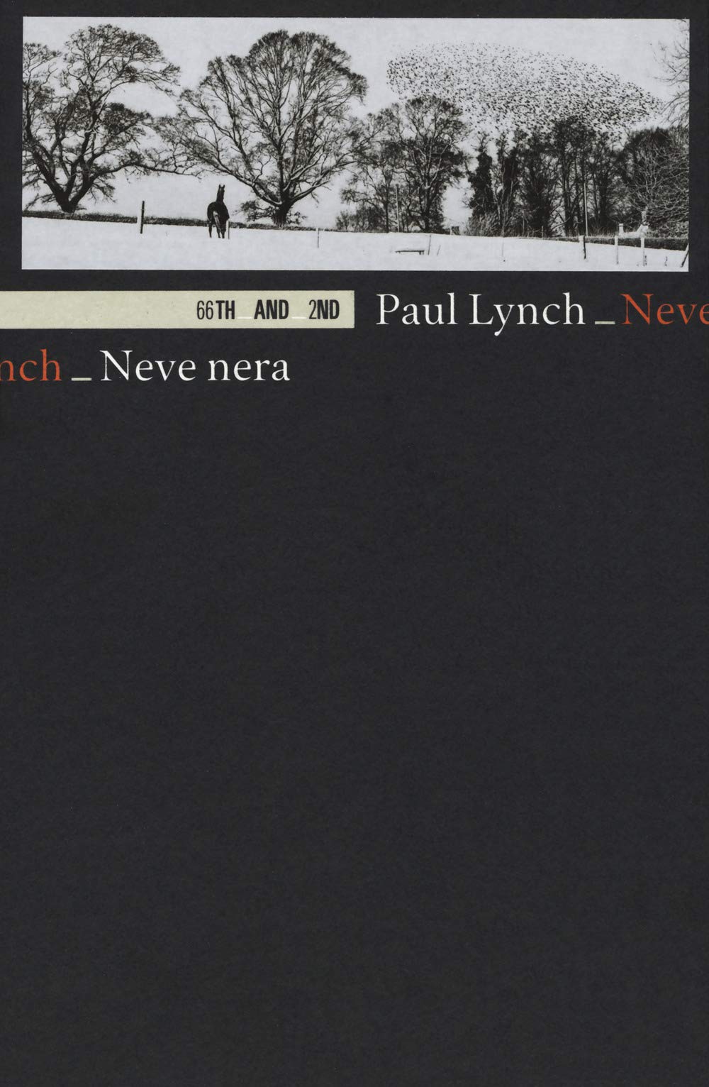 Neve nera - Paul Linch