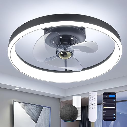 Sunny Hawaii 19''Smart Ceiling Fans with Lights-Alexa/Google
