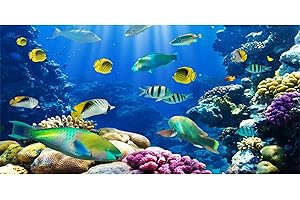 YongFoto 7x3ft Tropical Fish Terrarium Background Deep Sea Marine Coral Aquarium Background Glass Fish Tank Backdrop for Photography