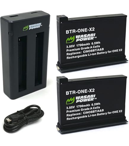 Amazon.com : Insta360 ONE X2 Battery & Fast Charge Hub