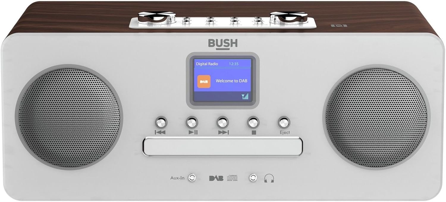 bush stereo flat micro system