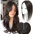 Aimeolyn Hair Toppers for Women Real Human Hair Upgrade Lace Base No Bangs Top Hair Pieces Premium Remy Toppers 14inch 4#