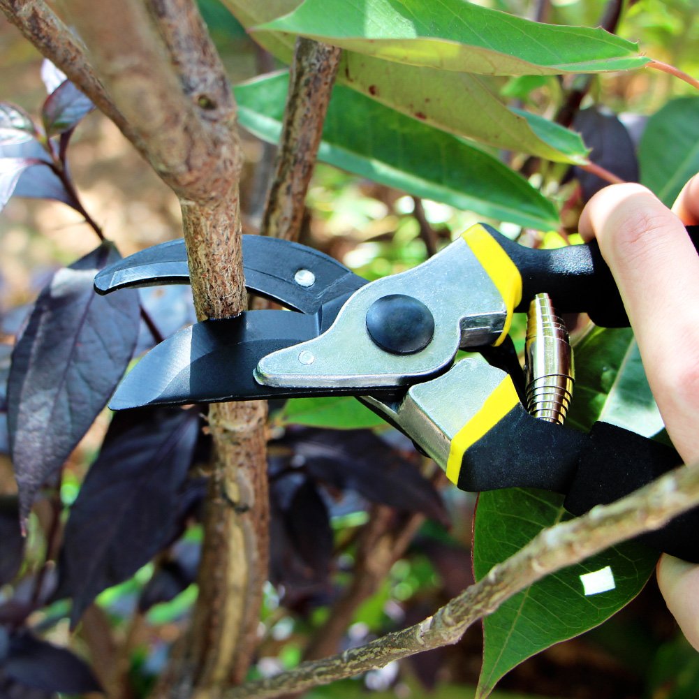 4-FQ Pruning Shears Hand Pruner Professional 8\'\' Premium Titanium Bypass Garden Ratchet Garden Clippers Scissors, Plant Flower SK-5 Steel Blade Cutter for Lawnl
