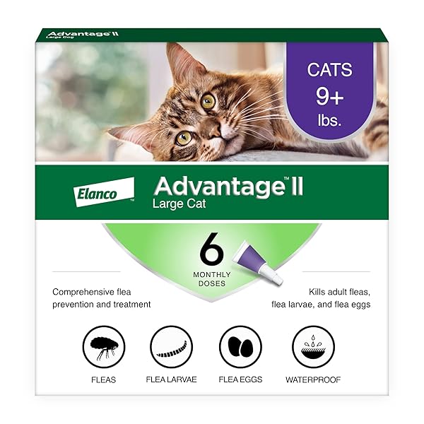 ADVANTAGE II LARGE CAT VET-RECOMMENDED FLEA TREATMENT & PREVENTION | CATS OVER 9 LBS. | 6-MONTH SUPPLY