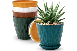 6 inch Plant Pots, 5 Pack Flowerpot with Drainage Hole and Tray, Suitable for Indoor and Outdoor Plants, Home Garden Balcony 