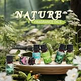 SALKING Nature Fragrance Oils Gift Set Pine Ocean Breeze Rain Fresh Cut Grass view 2