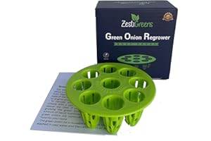 ZESTIGREENS Easiest Green Onion Regrower. Includes Ergonically Designed Lid & Instructions for Beginners. Save Money with This Cool Kitchen Regrower