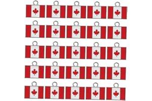 HEALEEP 25pcs Canadian Flag Maple Leaf Pendants Alloy Enamel Charms for DIY Bracelets Keychains Travel
