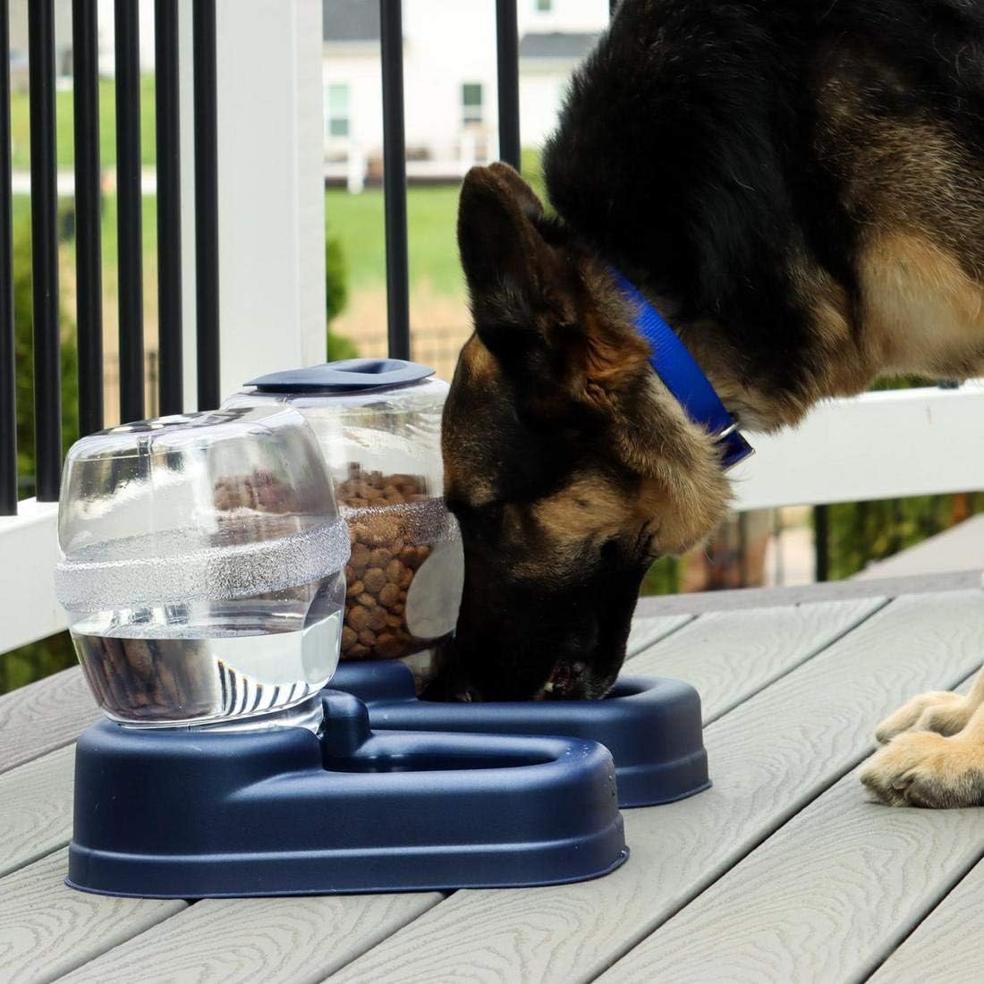 Bergan Petite Gourmet Feeder Combo (Assorted) : Pet Self Feeders : Pet Supplies