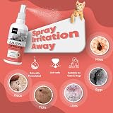 animigo Flea Spray for Home Dogs & Cats 500ml Lick-Safe Fast-Acting view 2