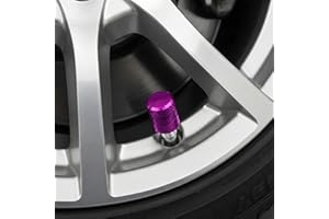 Tire Valve Stem Caps,Purple,4 pcs/Pack,Valve Cap Set, Universal Stem Covers for Cars Trucks Motorcycles SUVs and Bikes