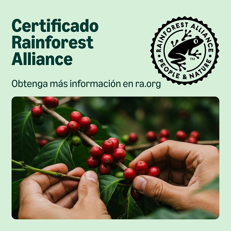 Infusão de Menta 25 Sacos