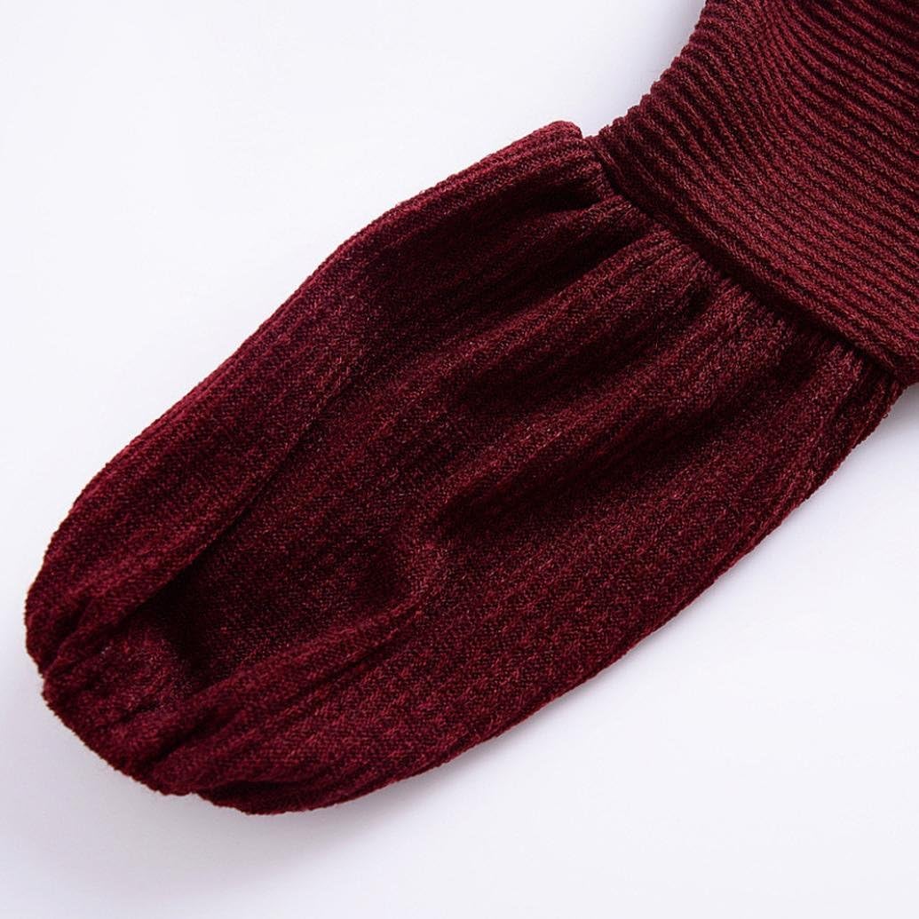 ZLOLIA Baby Clothes Autumn Winter Kids Girls Solid Lantern Sleeve Shirt Tops Loose Outfits (100, Wine): Home & Kitchen