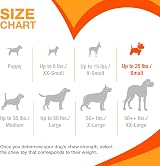 Nylabone Dura Chew Extreme Small Nylon Dog Chew Toy Up to 11 kg view 7
