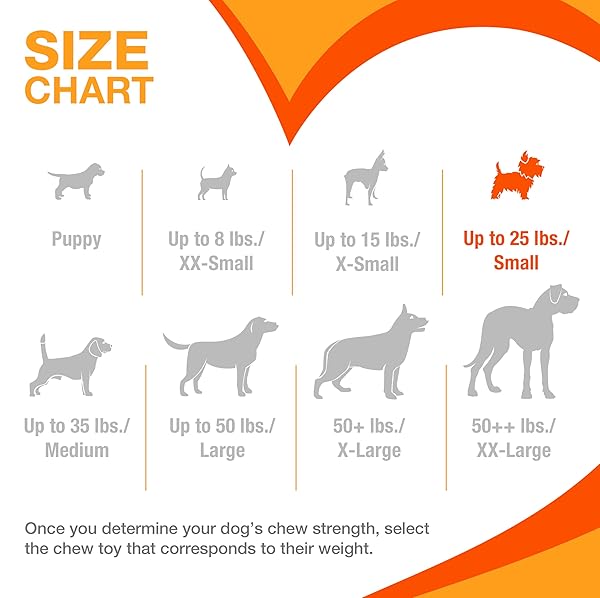 NYLABONE NEW PUPPY STARTER KIT, 2 CHEW TOYS AND 1 NATURAL TREAT FOR PUPPIES, PUPPY TEETHING TOY, BACON & CHICKEN FLAVOR, SMALL DOGS – UP TO 25 LBS., 3 PACK
