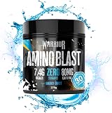 Warrior Amino Blast BCAA Powder 270g Fruit Salad – 5g BCAA per serving view 2