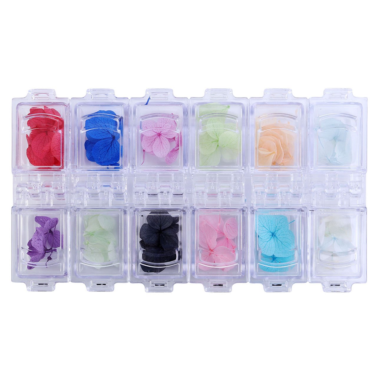 CCbeauty 2-Packs 12Colors Natural Real Dry Flower Sticker Decals Nail Art Decorations Kit 3D