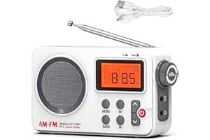 DC 5V Digital AM/FM Radio SY-8801 Backlit LED Display Loud Speaker Manual Auto Channel Search Smart Preset for Home Use