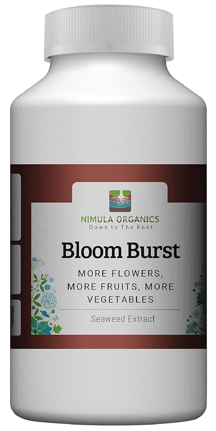 Bloom Burst - Seaweed Extract (100 ml)