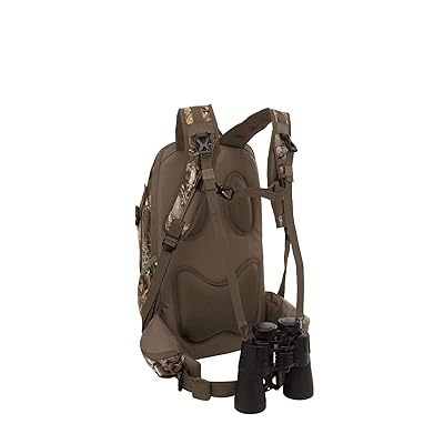 timber hawk big basin daypack