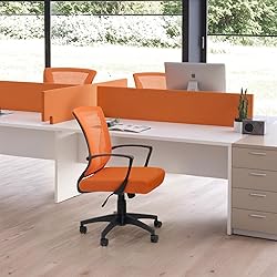 Furmax Office Chair Mid Back Swivel Lumbar Support