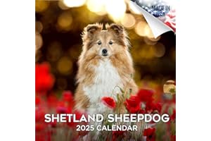 MEGACALENDARS 2024 2025 Shetland Sheepdog Calendar - Dog Breed Monthly Wall Calendar - 12 x 24 Open - Thick No-Bleed Paper - Giftable - Academic Teacher's Planner Calendar Organizing & Planning - Made in USA