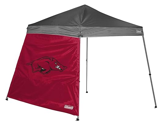 NCAA Arkansas Razorbacks 10 x 10 Slant Bein Himmel Wand