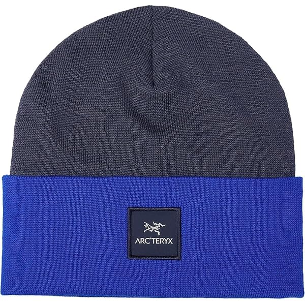 Amazon.com: Arc'teryx Rho Lightweight Wool Toque | Electra, Large