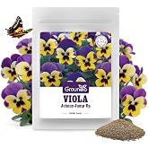 10000+ Johnny Jump Up Seeds Perennial Wild Violet Seeds for Planting | Non-GMO, Heirloom, Edible Flowers, Attracts Pollinators, Grown in the USA