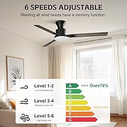 Obabala 60" Ceiling Fan with Remote, LED