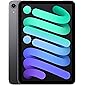 2021 Apple iPad Mini (Wi-Fi, 64GB) - Space Gray