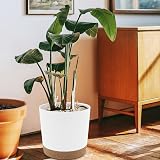 QCQHDU Plant Pot 25.4cm 2 Pack with Drainage Holes & Saucer White view 5