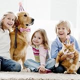 Fantasyon Dog Cat Birthday Hat with Bow Tie Pink Adjustable Reusable Party view 7