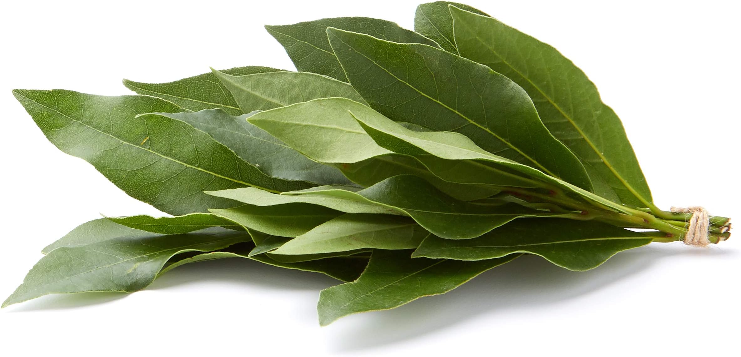 Organic Bay Leaves, 0.5 oz Clamshell