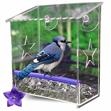 Window Bird Feeder With Strong Suction Cups Our Acrylic