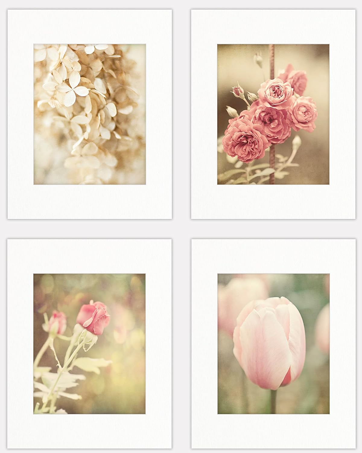 Photographs - Lisa Russo Fine Art - Pink and Off White Flower Art Prints - Set of 4 - Unframed - Pink Shabby Chic Floral Pictures for Bathroom, Bedroom, or Nursery Wall Decor (8x10 Prints with 11x14 Mats)