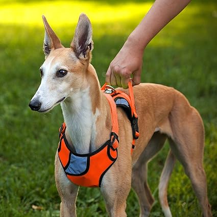 Gilet De Harnais Pour Chien En Nylon Respirant Doux
