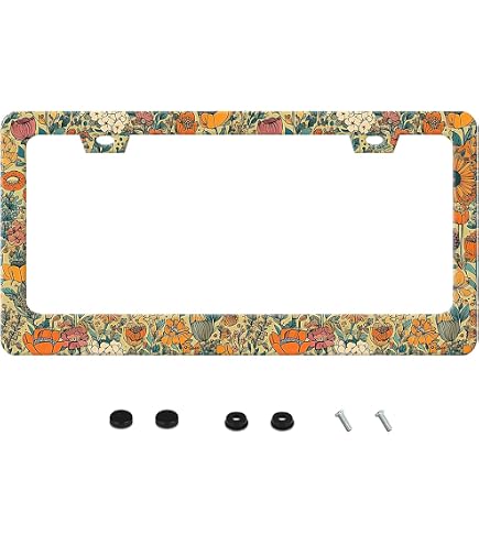 2-Piece Rainbow Retro License Plate Frames – Stainless Steel Covers With Screws & Caps For Car