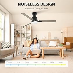 Obabala 60" Ceiling Fan with Remote, LED