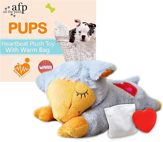 barbie sisters puppy and skipper doll