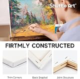 Shuttle Art Canvas 15 Multi Pack 4x4 5x7 8x10 9x12 11x14 Inches view 3