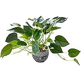 AlphaAcc Artificial Plants Potted Real Looking Small Faux Plant with Rustic Black Cement Planter for Kitchen Office Desk Bookshelf Decor (Ivy Plant)