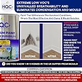 HQC Weather Shield Terracotta Masonry Paint 1L Storm Proof Scrub Resistance view 9