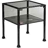 SEI Furniture Terrarium Display End Table, Black/Silver Distressing