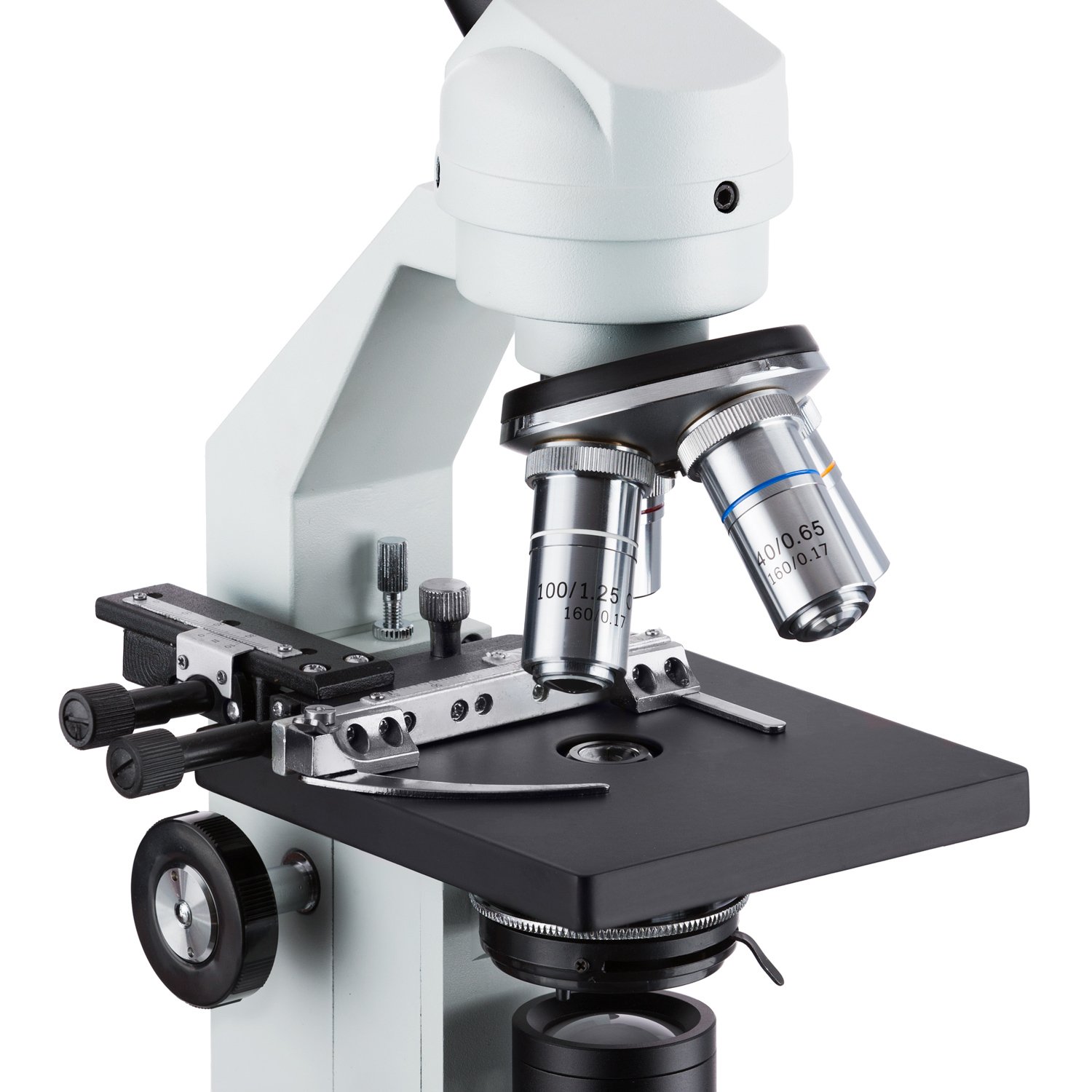 Microscopes Allow For Greater Magnification at Allen Myrick blog
