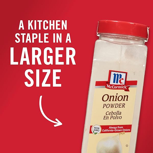 MCCORMICK ONION POWDER, 22 OZ